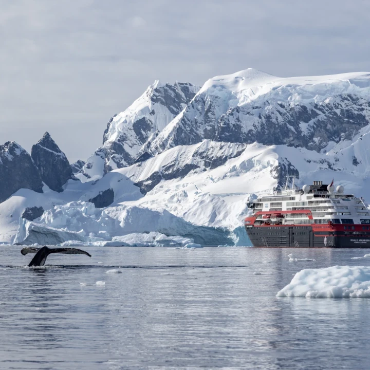 Croazieră de expediție ANTARCTICA, cu Andrei Neagu